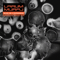 CD - LARUM - MURAL...